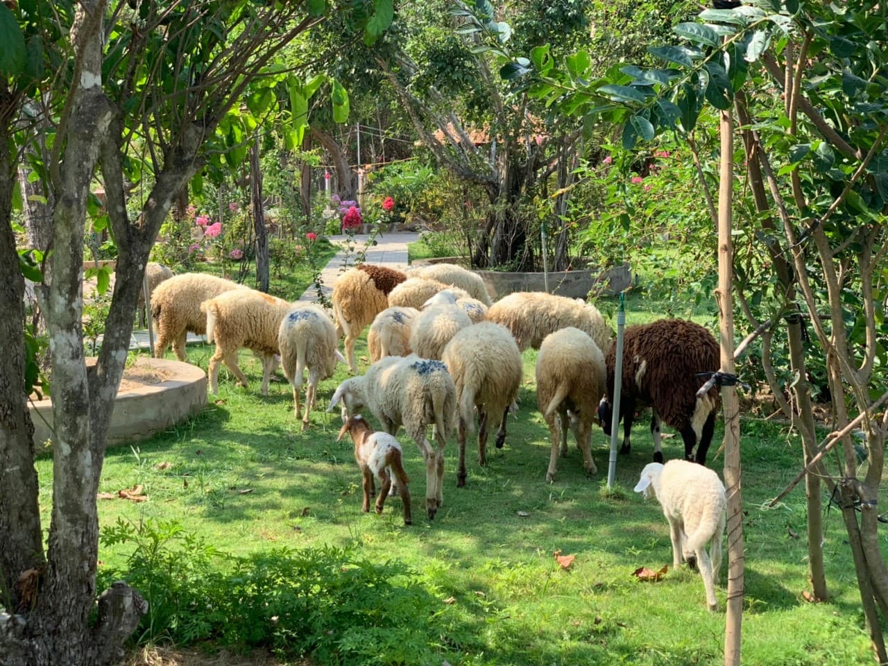 Khu Du Lịch Sinh Thái Bưng Riềng – Trải Nghiệm Gần Gũi Thiên Nhiên