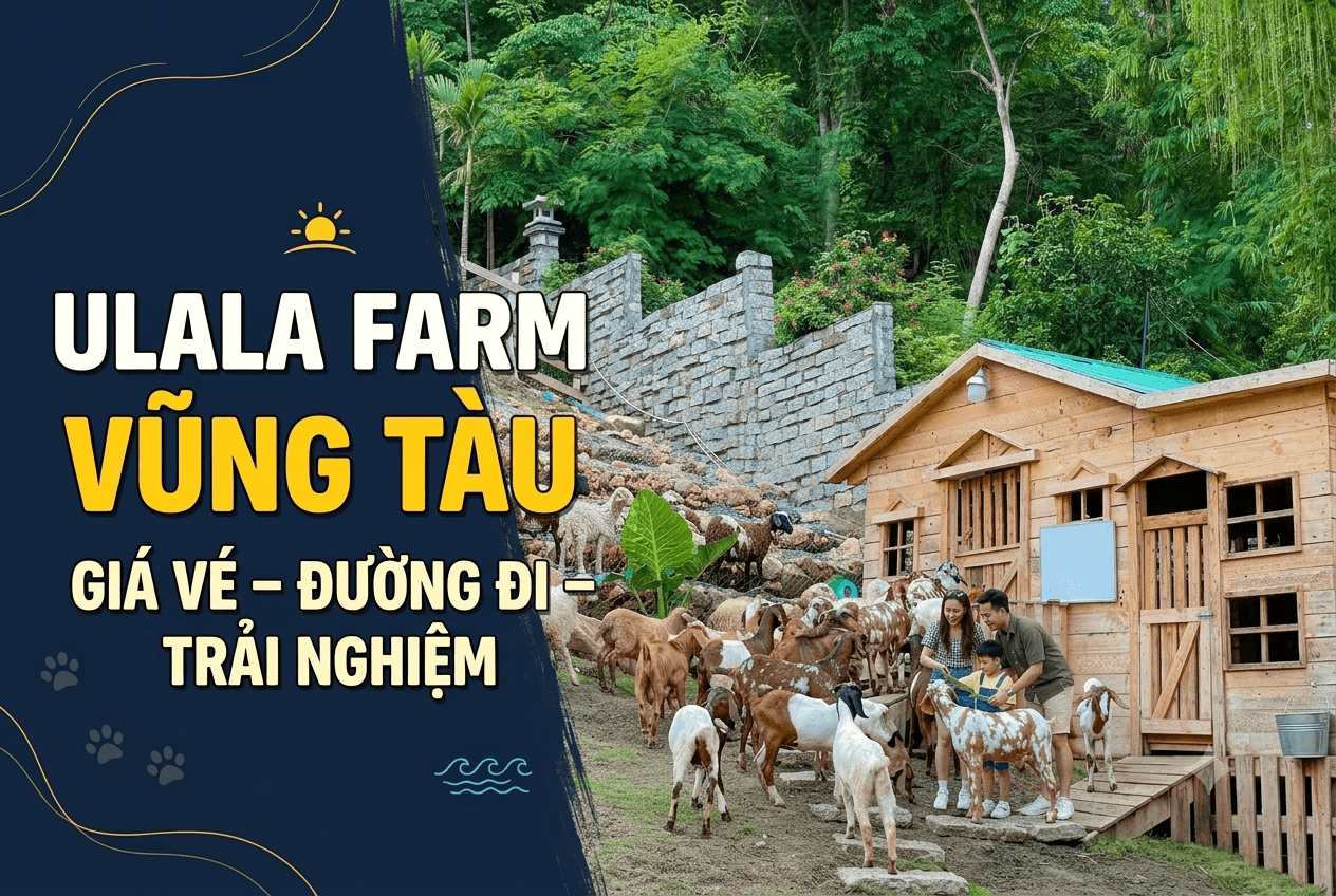Ulala Farm Vũng Tàu: Có Gì Đáng Thử Cho Chuyến Đi Sắp Tới?