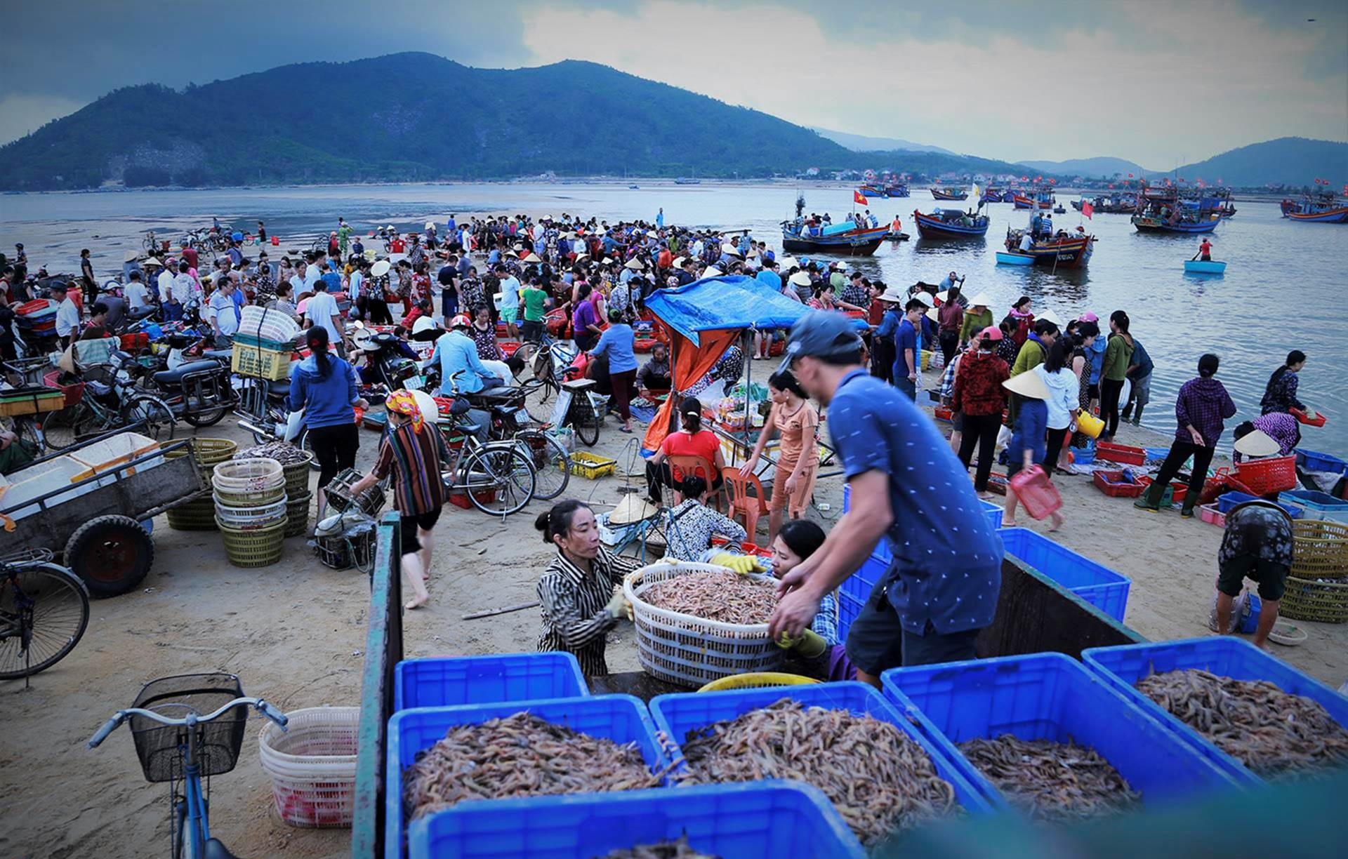 Khám Phá Những Chợ Hải Sản Hồ Tràm Tươi Ngon - Giá Rẻ