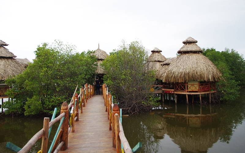 Đảo Ngọc Vũng Tàu Có Gì Thú Vị?