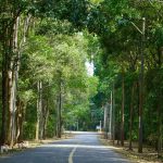 Khu Du Lịch Bình Châu - Trải Nghiệm Suối Khoáng Nóng Hồ Tràm - Bình Châu