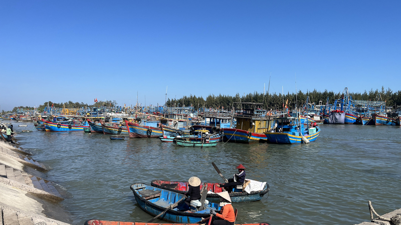 Cảng Cá Bình Châu Vũng Tàu - Địa Điểm Được Giới Trẻ Săn Lùng Trong Mùa Hè