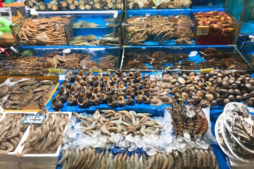 Bãi Biển Bình Châu
